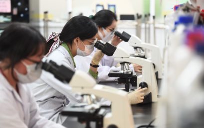 INTERNATIONAL UNIVERSITY: AFTER 15 YEARS, THE NUMBER OF SCIENTISTS GROWS SIXFOLD